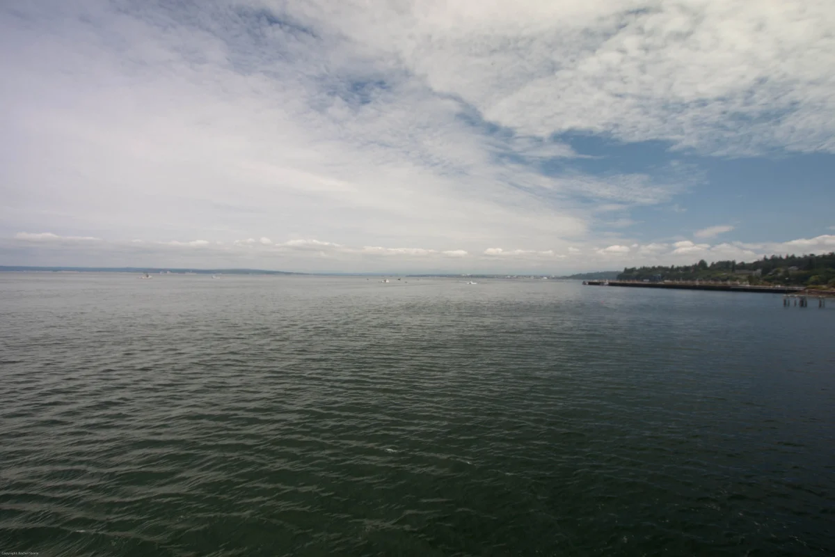 whidbey-26.jpg