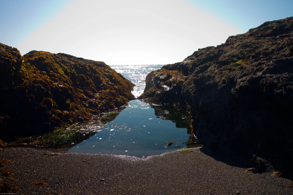 whidbey-4.jpg