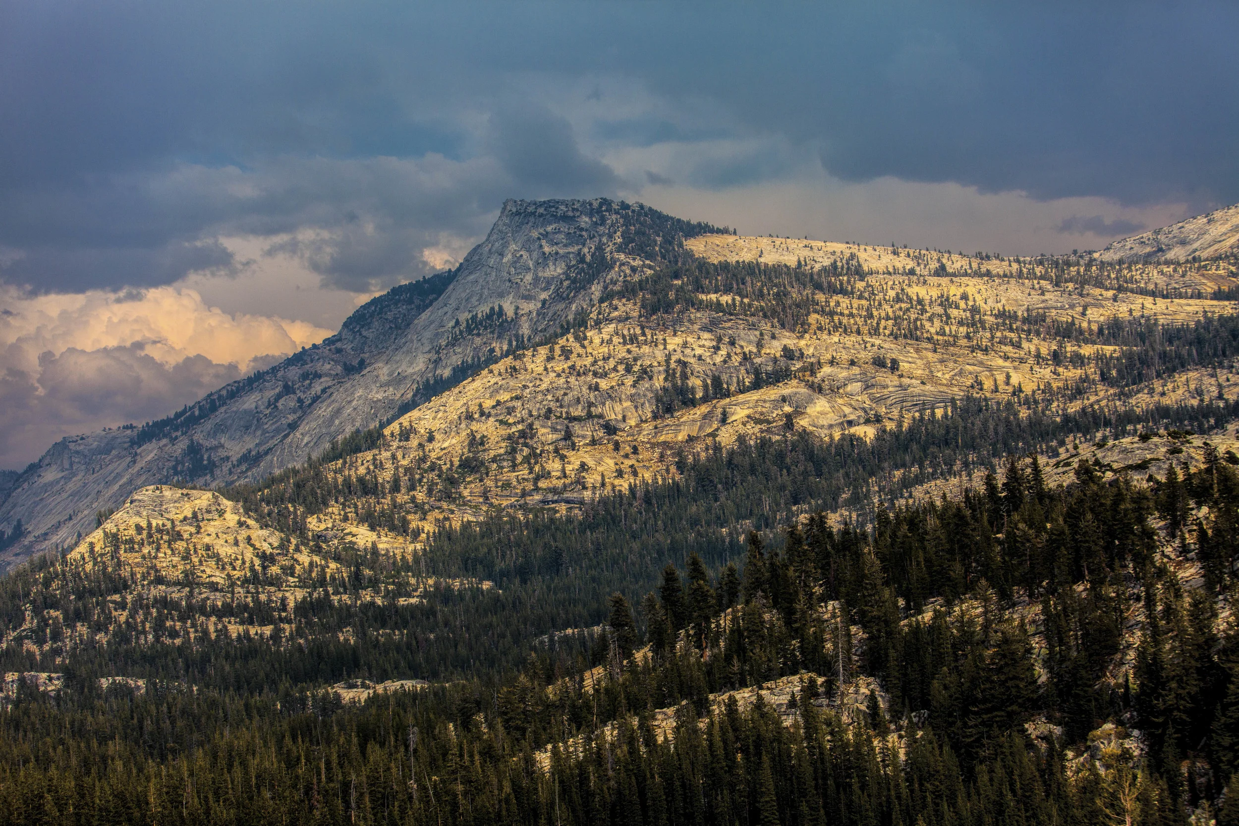 Yosemite Snow