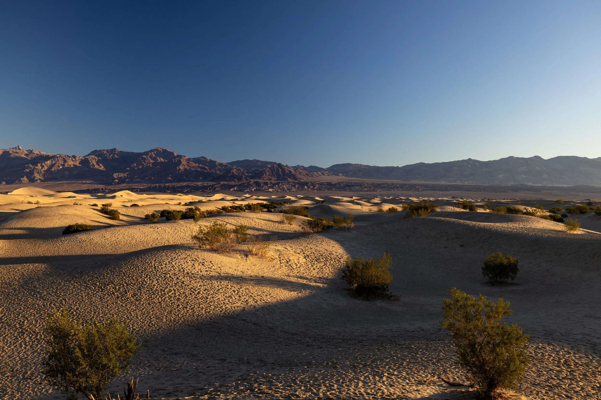 Mesquite Flat Sand Dunes