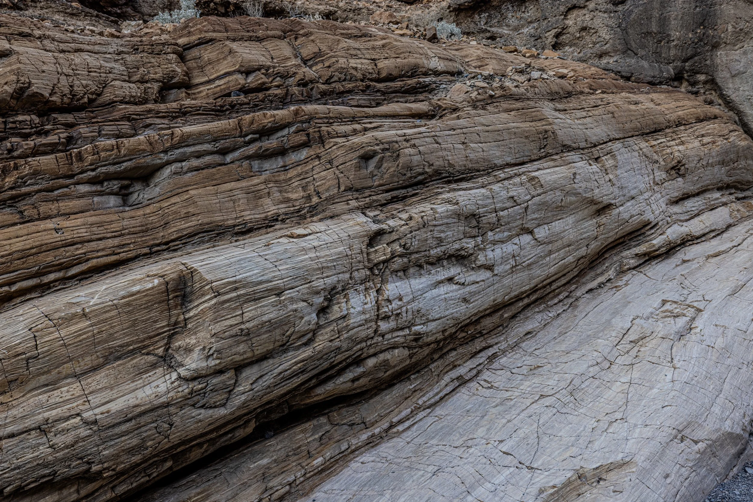 Death Valley-13.jpg