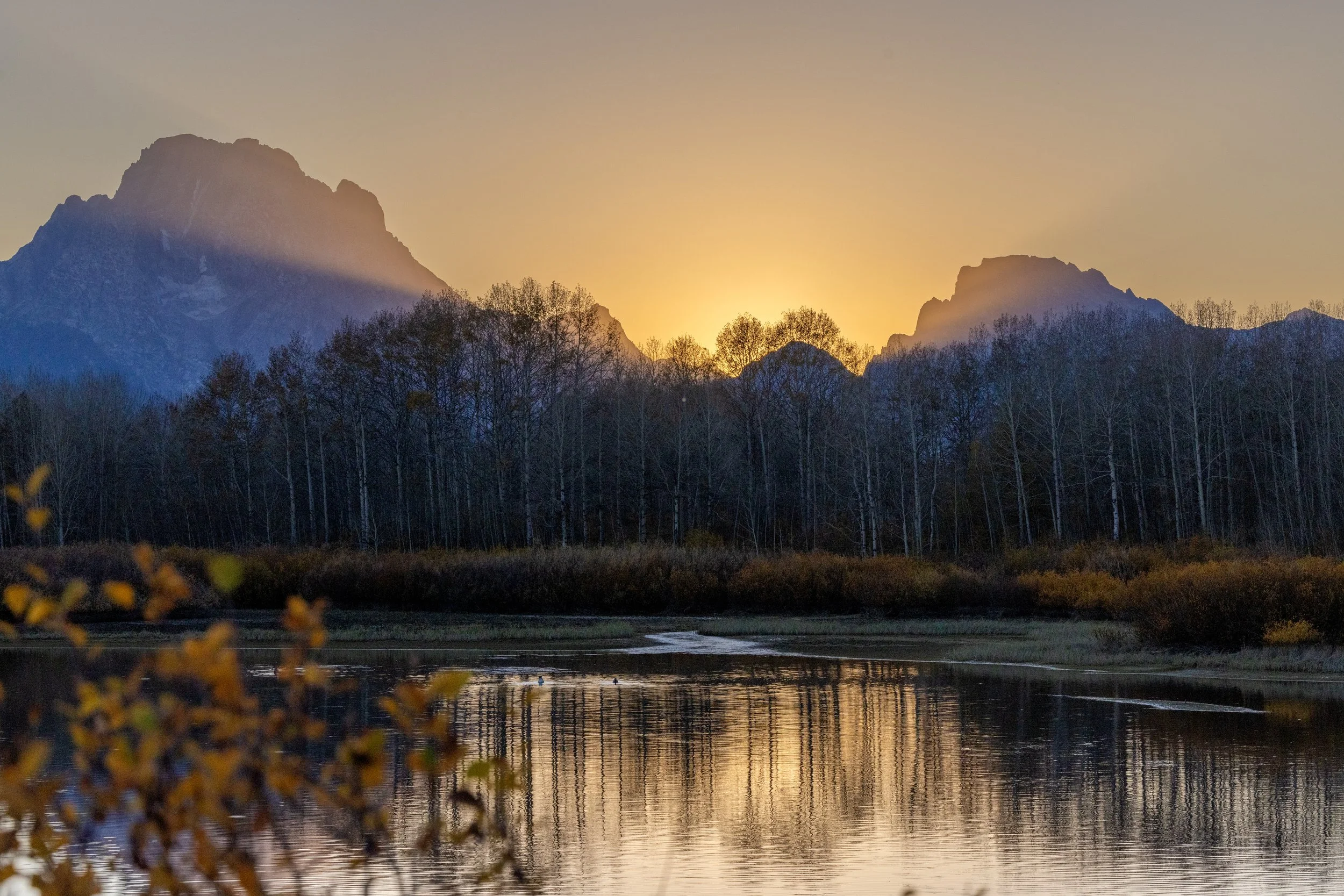 Oxbow Bend Golden Sunset