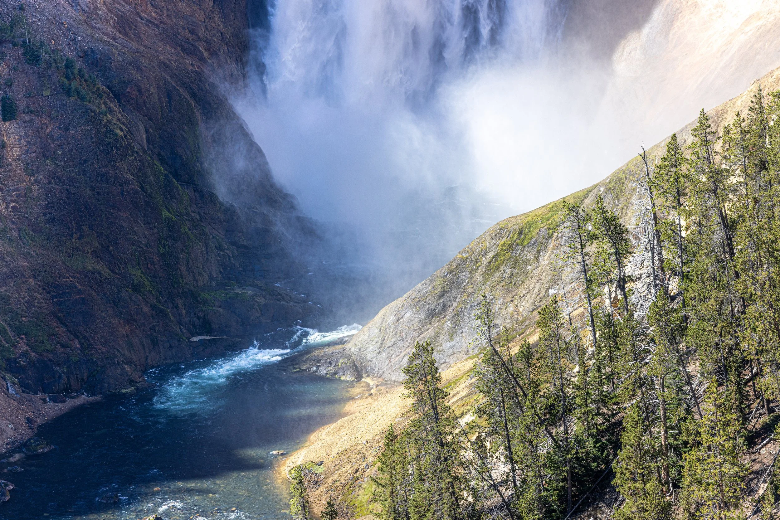 Yellowstone Falls