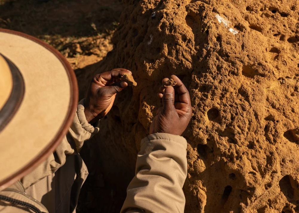 Shambala 2024  Nicole Bissey Photography 552.JPG
