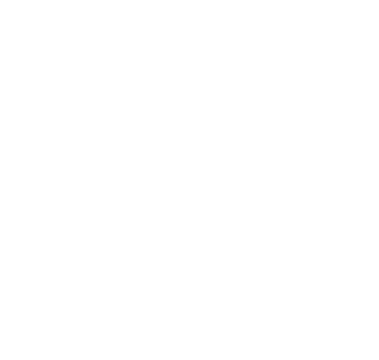 Nicole Bissey Photography