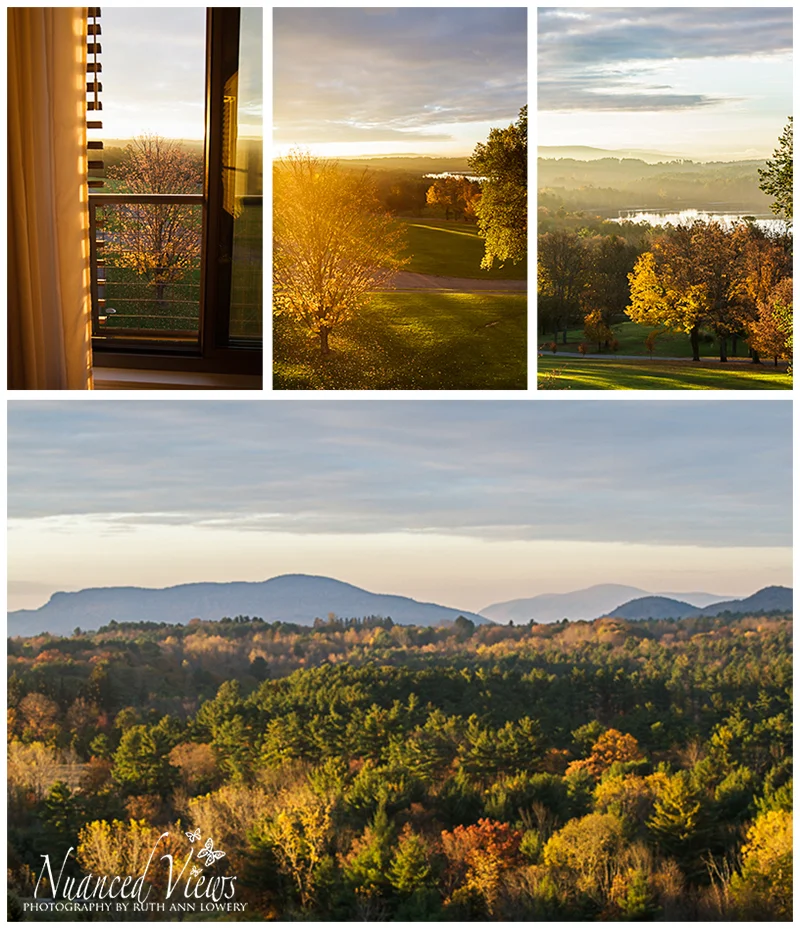 Blog-Collage-1383775900114.jpg