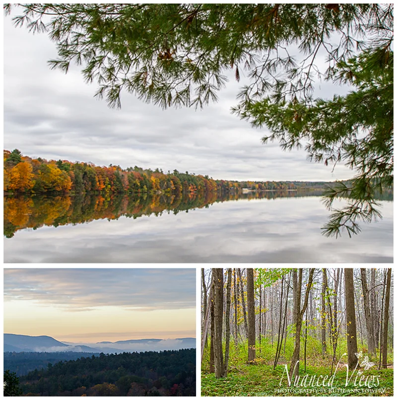 Blog-Collage-1383776025253.jpg
