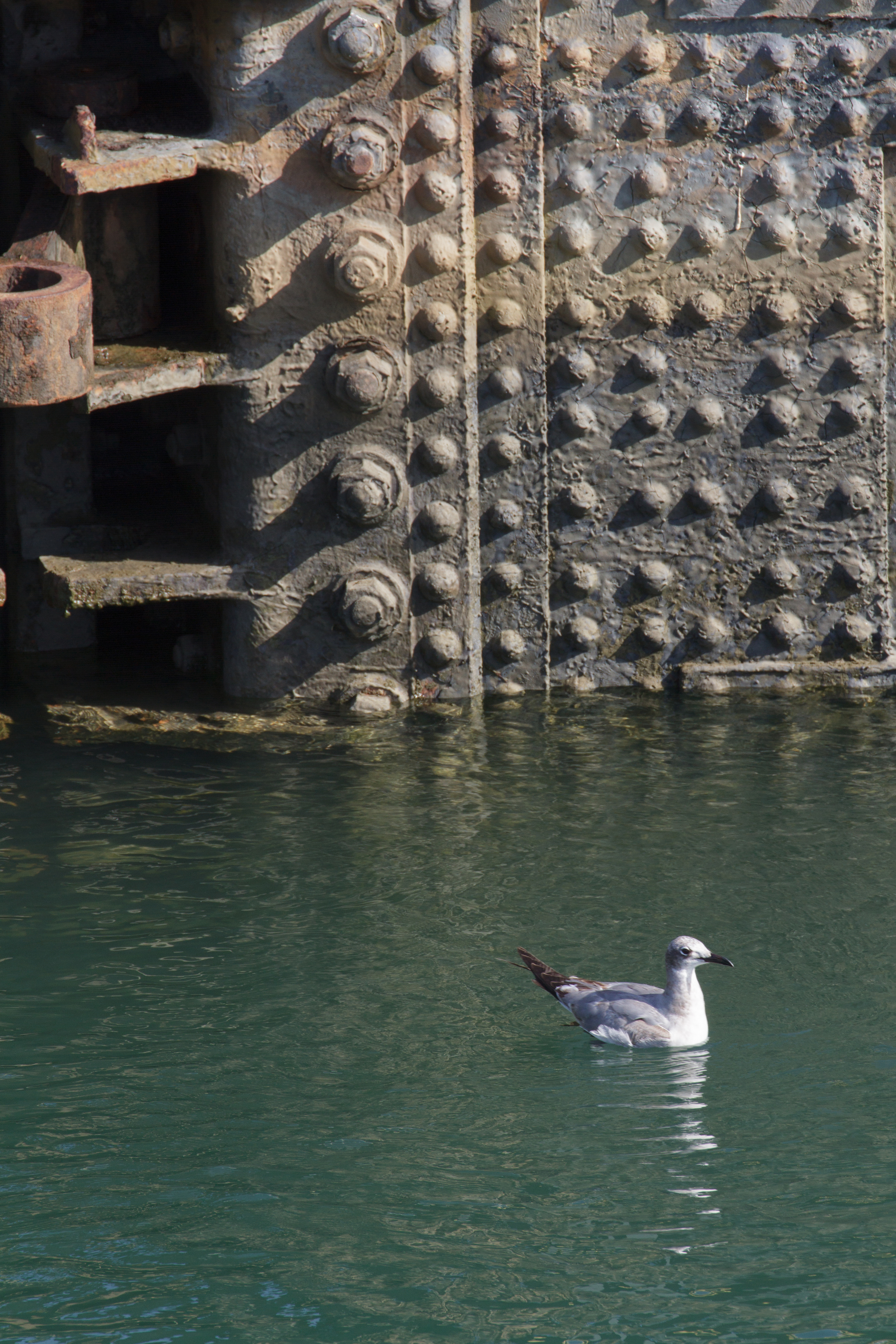 PanamaCanal_RAL5075_20.jpg