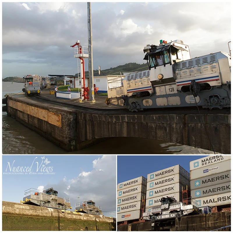 Blog-Collage-1391729807016.jpg