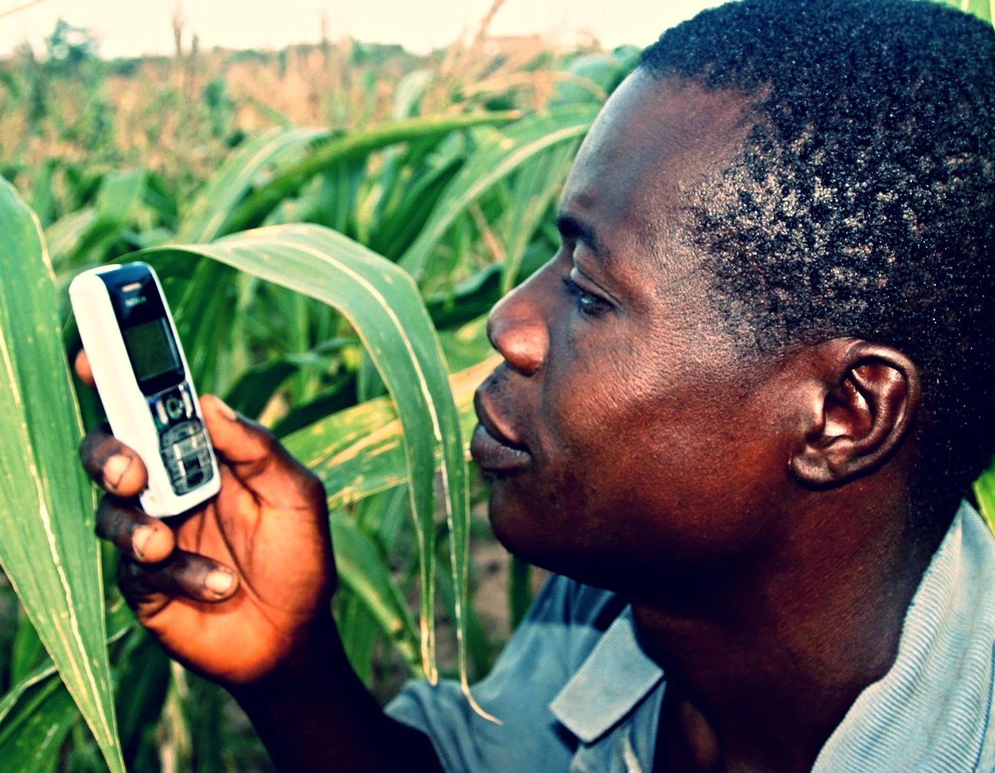 Mobile money: taking on the big banks
