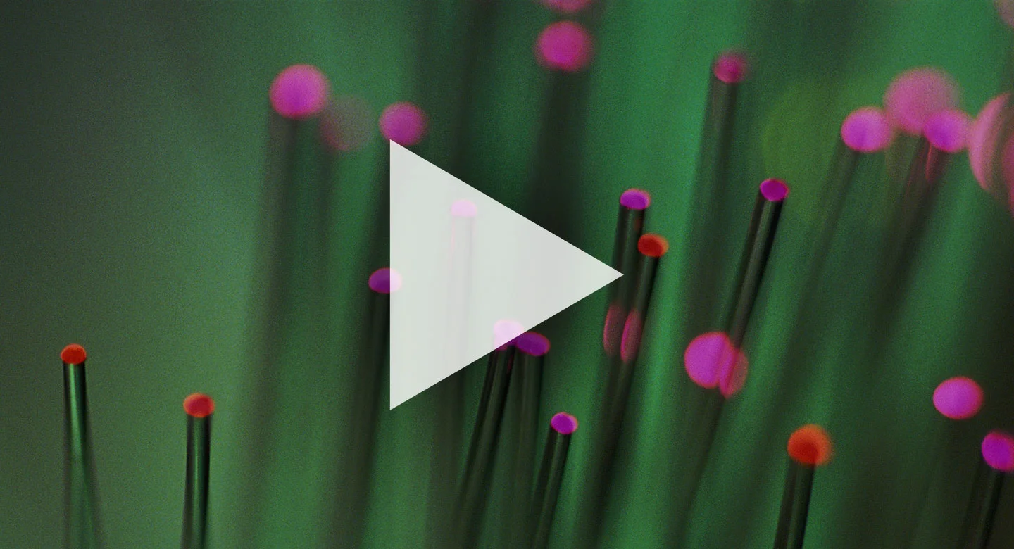 REVIEW OF THE TELECOMMUNICATIONS SECTOR