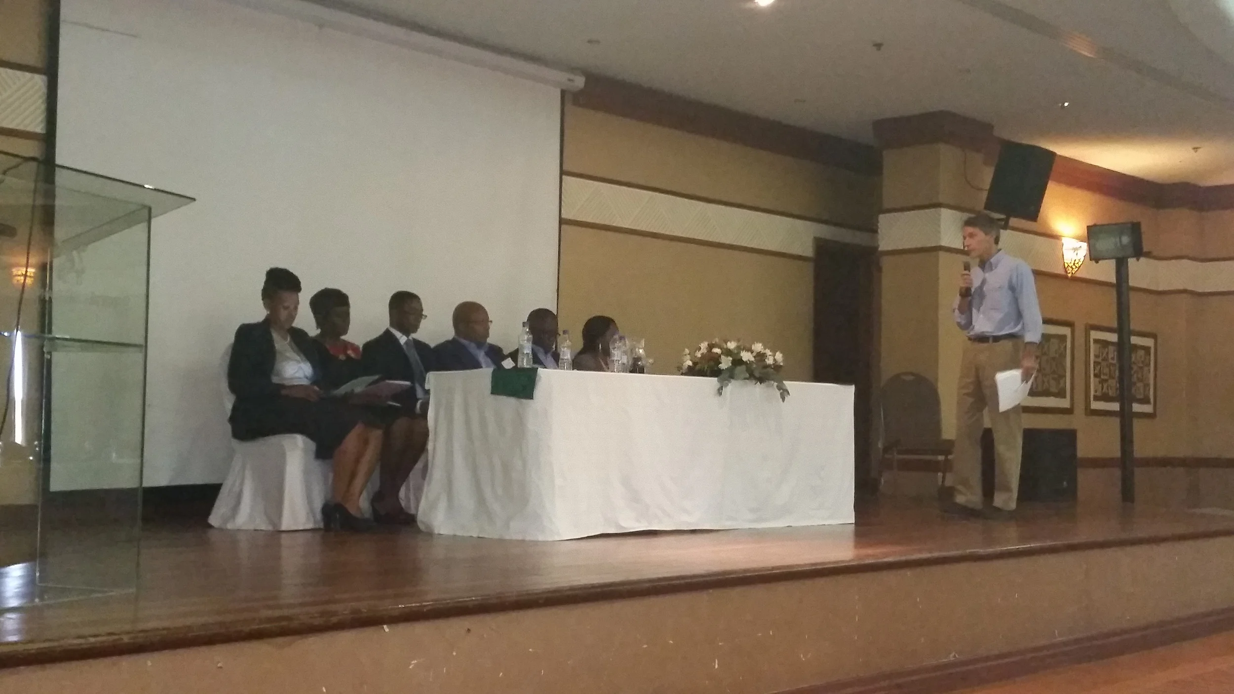 Reflections on institutional design in African regulatory agencies