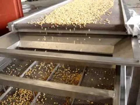 Towards a more inclusive agro-processing sector in South Africa