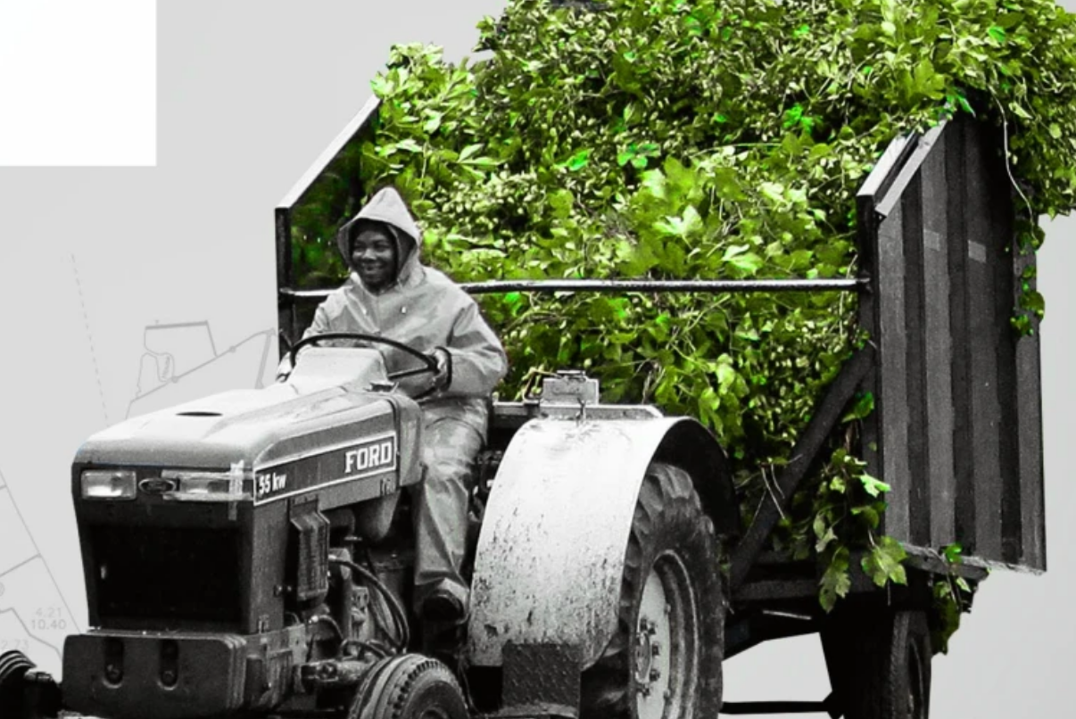 Africa faces huge food-supply obstacles – and time is running out