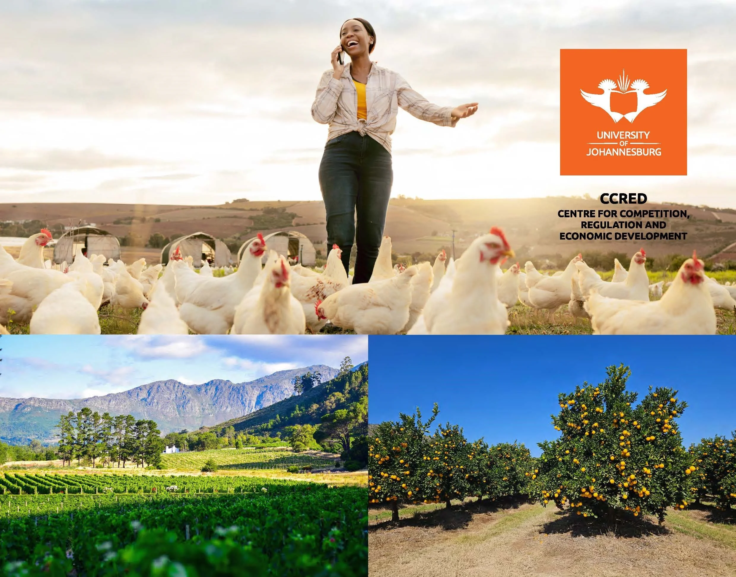 Women Creating Wealth in Agricultural Value Chains