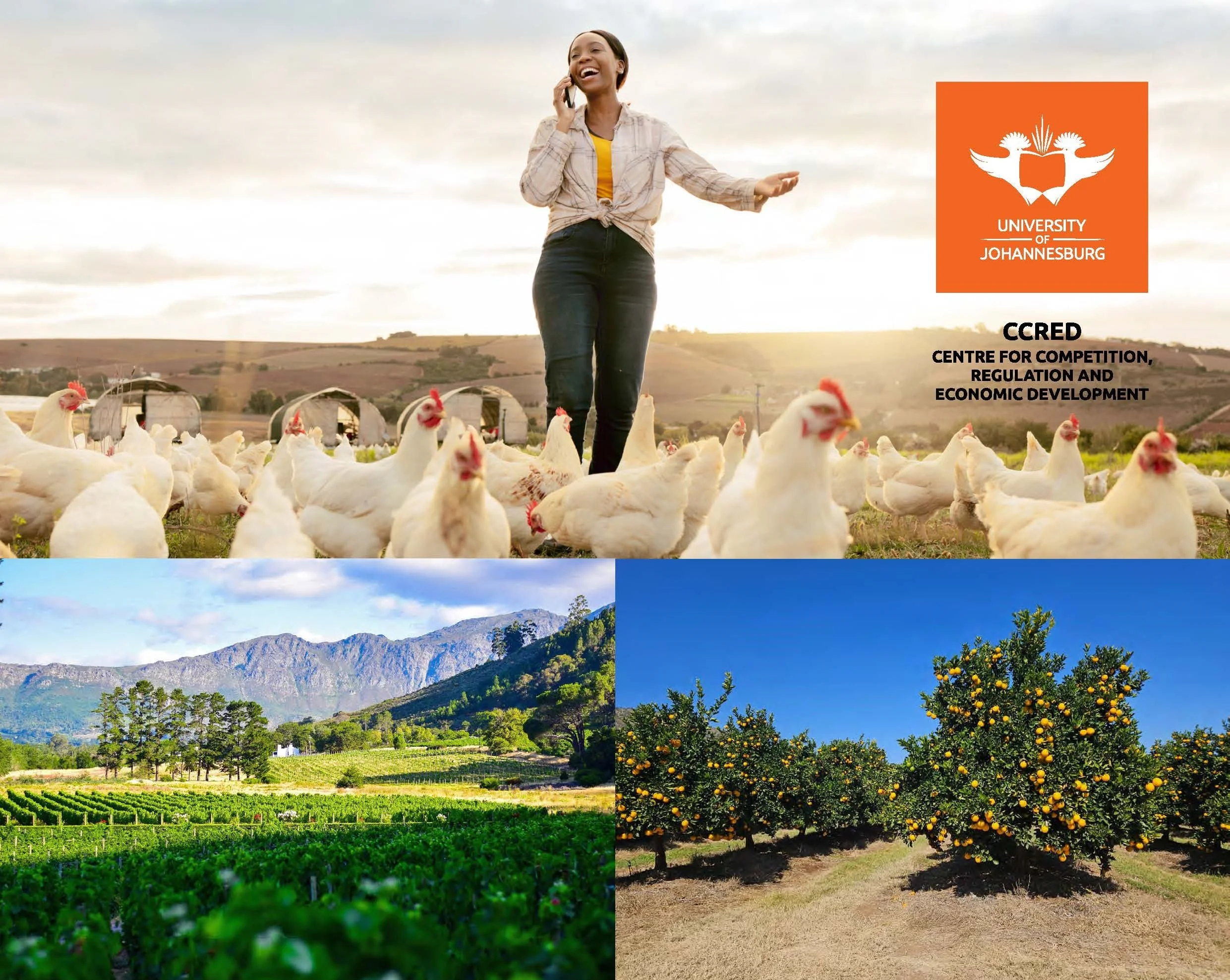 Women Creating Wealth in Agricultural Value Chains (CCRED-GMT)