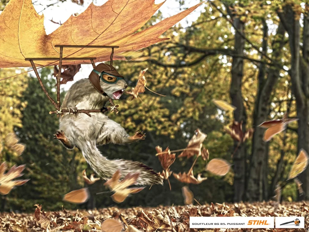 STIHL02-1.jpg
