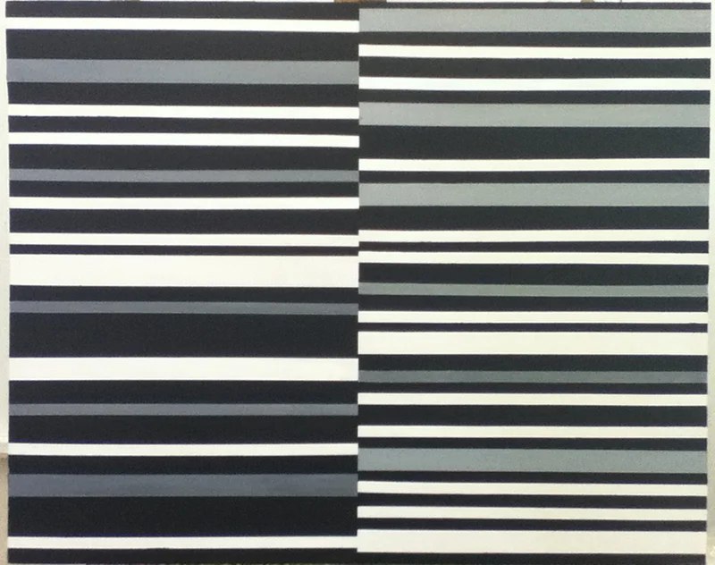 Zebras