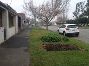 Little veggie patch 200 meters away on Richardson st. Albert Park
