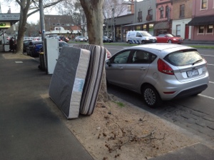Public dump or public green space? Rathdowne st. Carlton