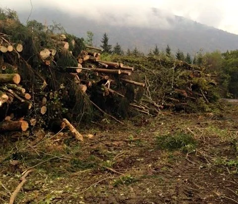 Vallée de l'Arve: la folie du routier se poursuit