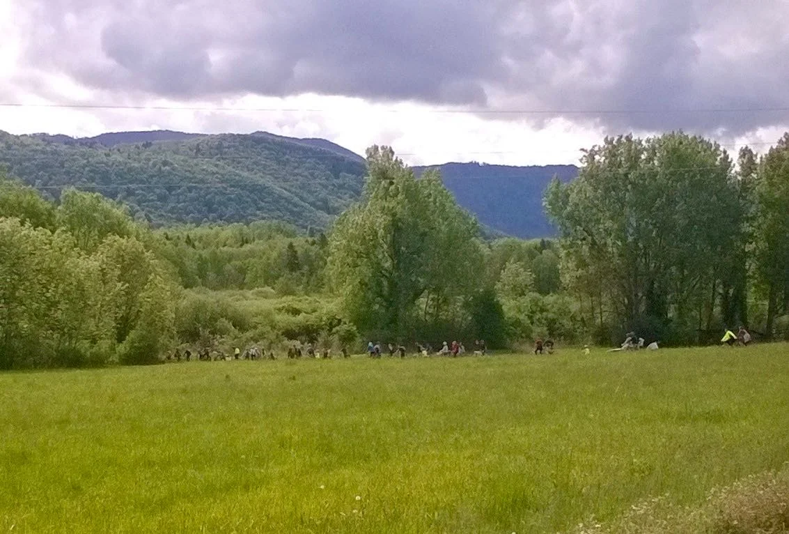 WP_20170514_11_19_57_Pro.jpg