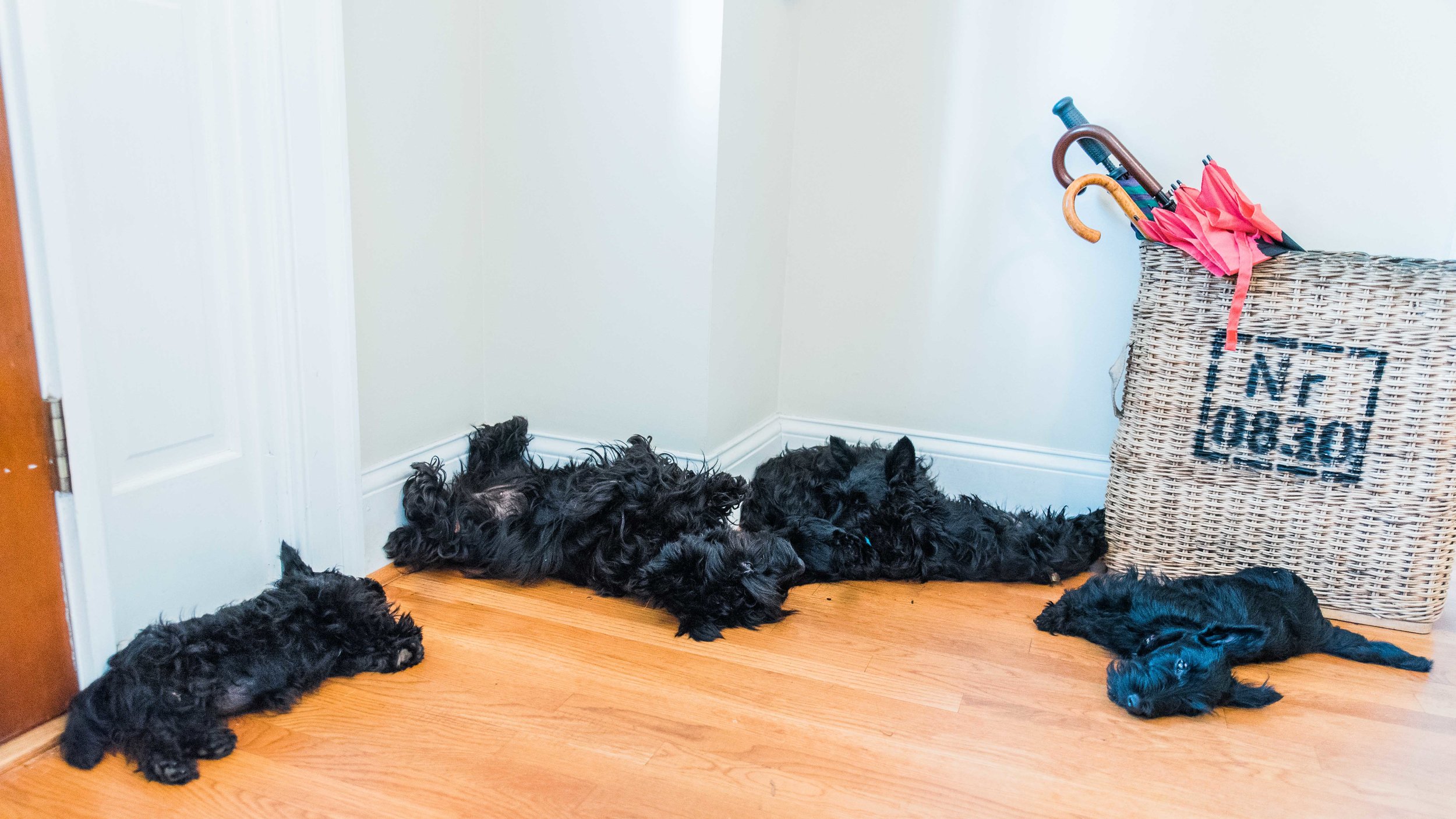 Bestof201729_KelliPricePhotography_April2017.jpg