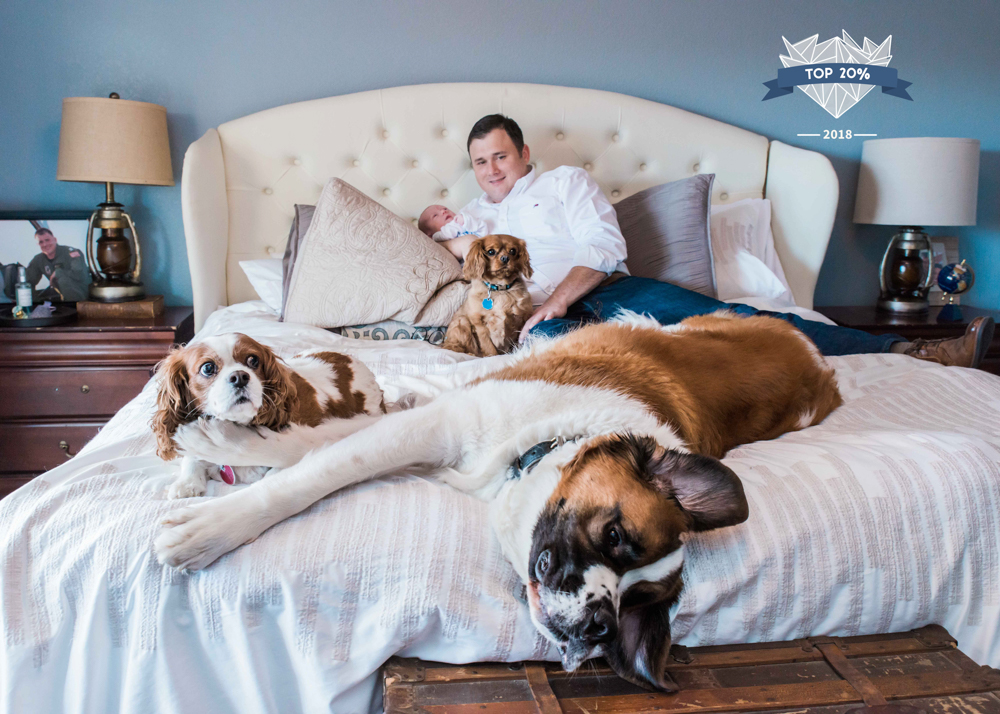 Pets/Animals Category - 1,505th place out of 14,426<br>This was the most liked image! Three dogs and a newborn session.....sure, let's do it!