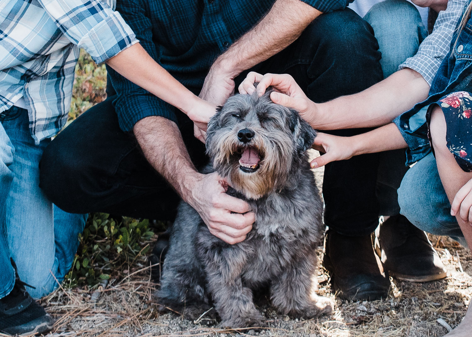 Freeman8_KelliPricePhotography_TruckeeCA_November2018.jpg