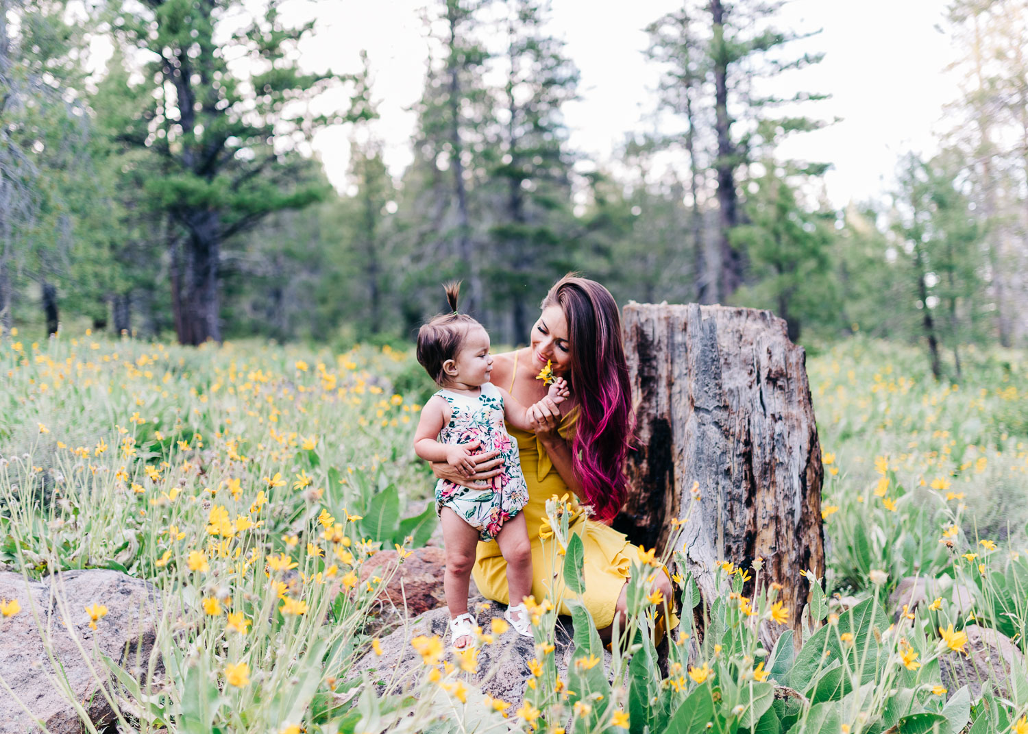 Wildflowers1_KelliPricePhotography_SagehenTruckeeCA_2019.jpg