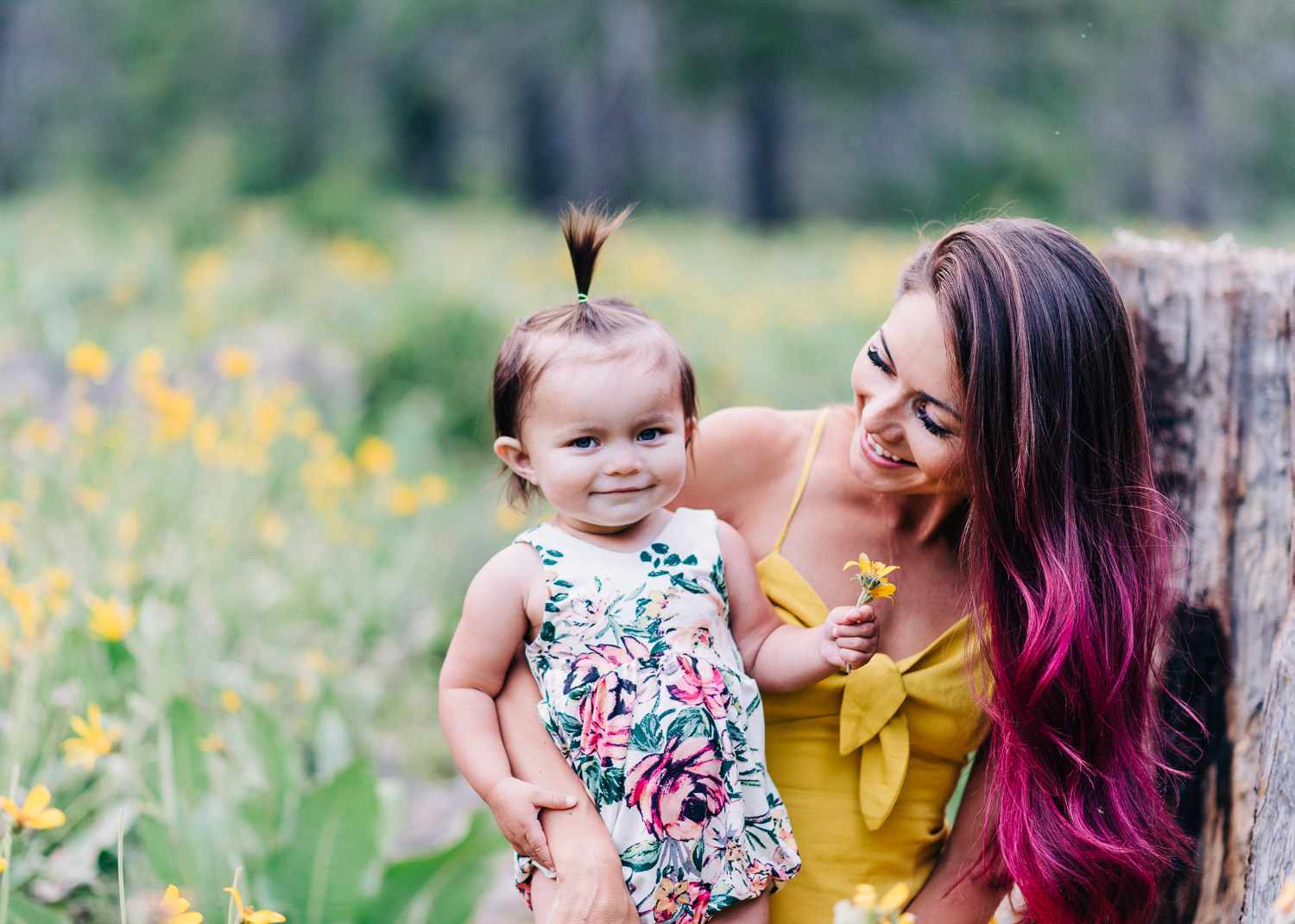 Wildflowers2_KelliPricePhotography_SagehenTruckeeCA_2019.jpg