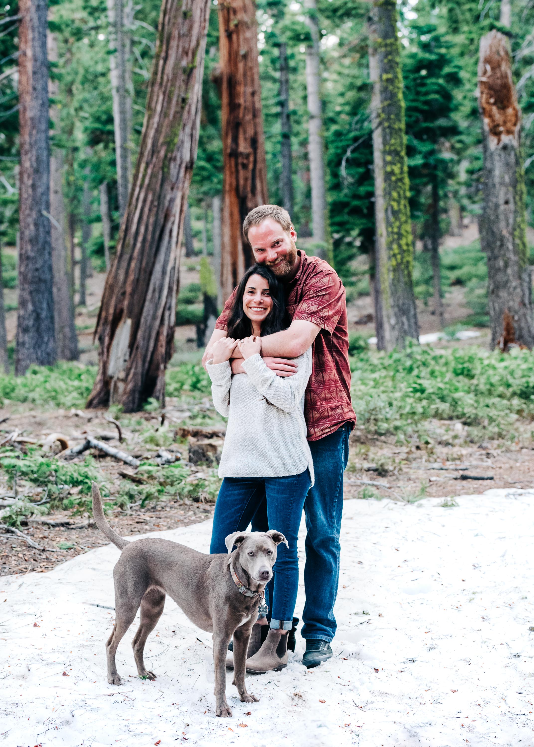 Redwood Engagement Session in Tahoe City