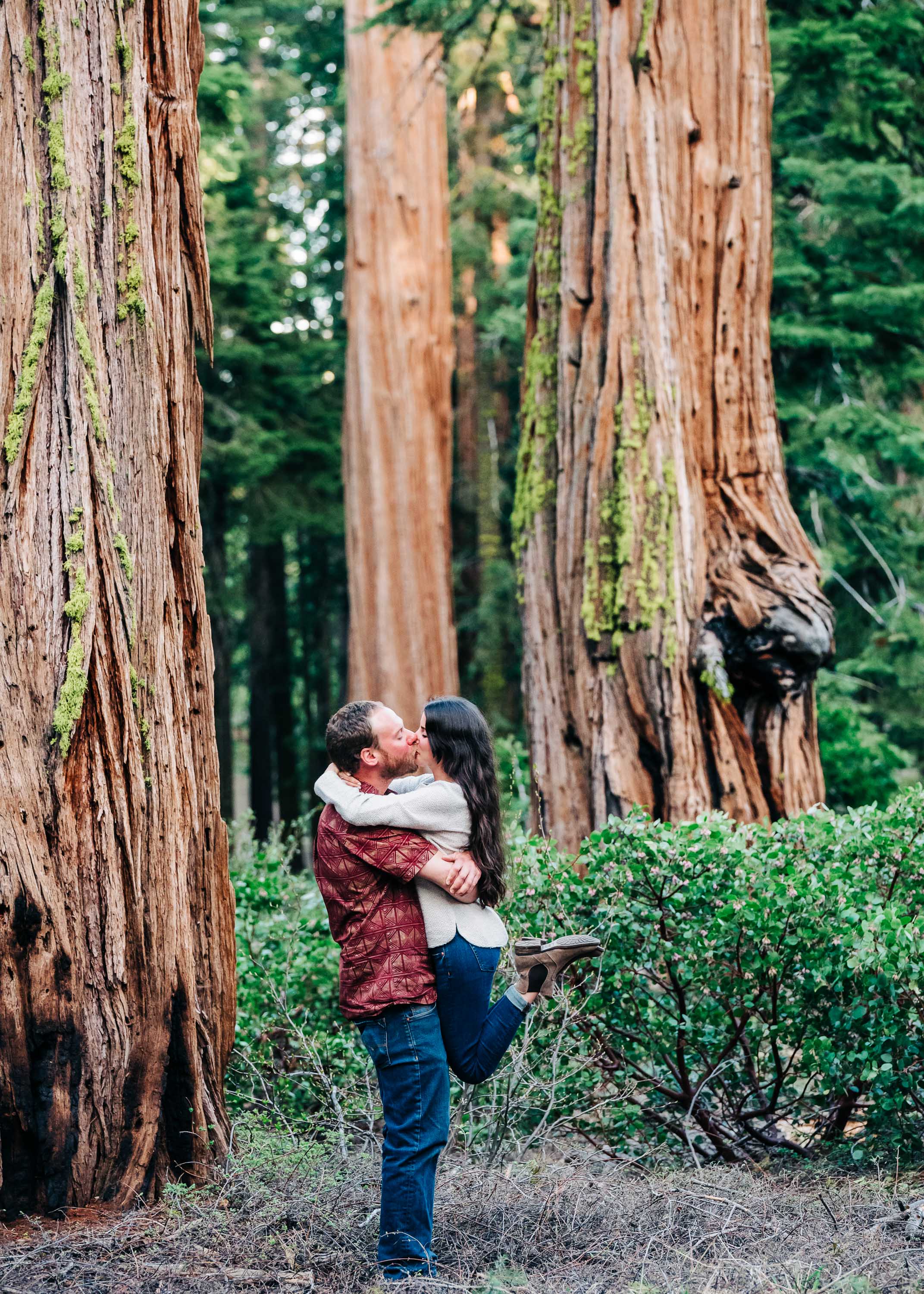 Redwood Engagement Session in Tahoe City, California