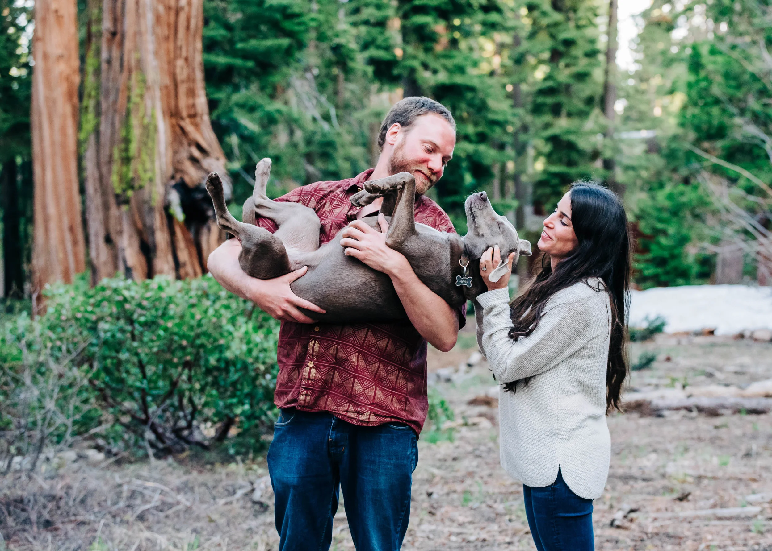 Redwood Engagement Session in Tahoe City, California