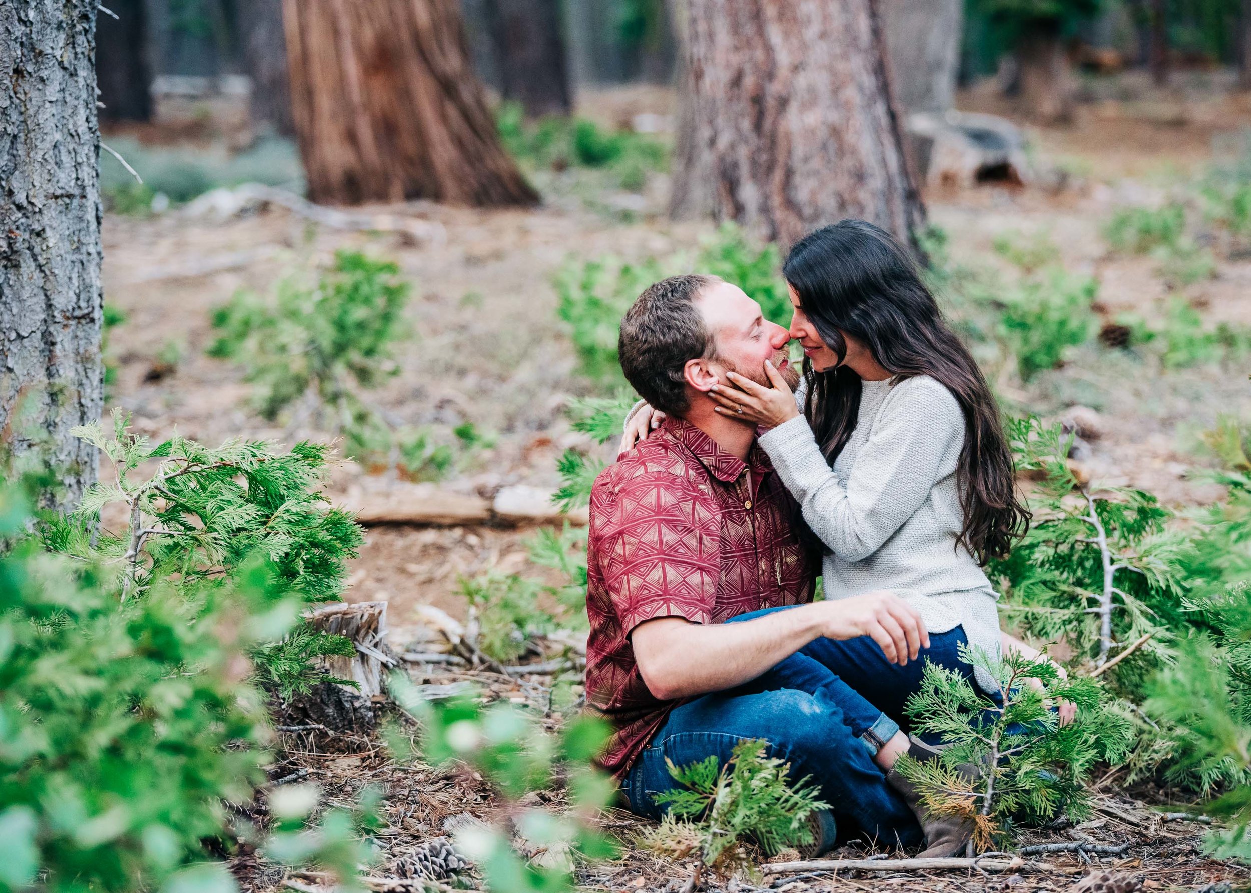 Redwood Engagement Session in Tahoe City, California