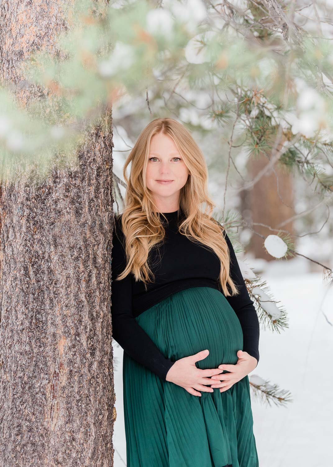 Maternity Photography Reno and Truckee Love