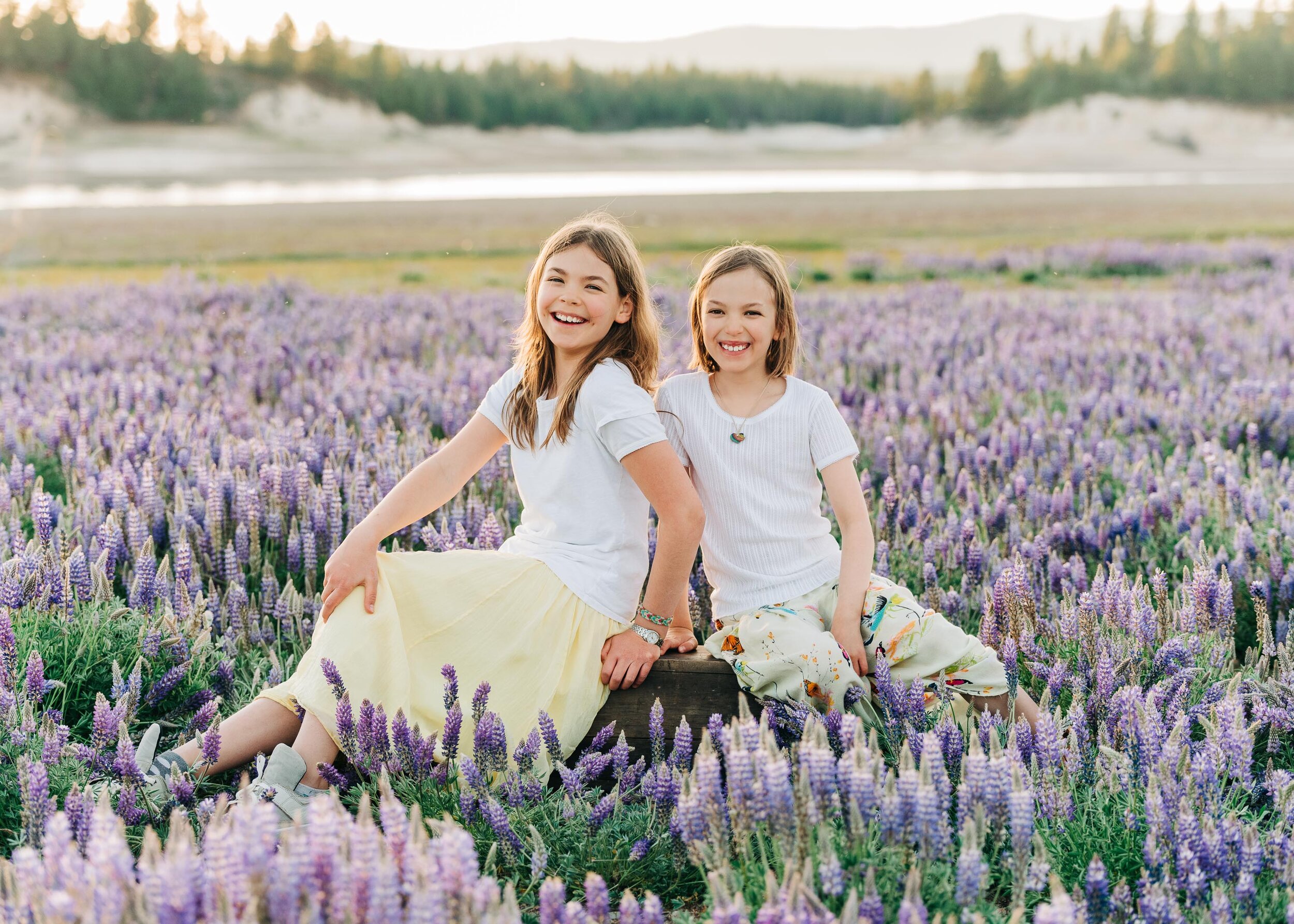 Lupine Wildflowers in Truckee, Product Branding Photography by Kelli Price Photography