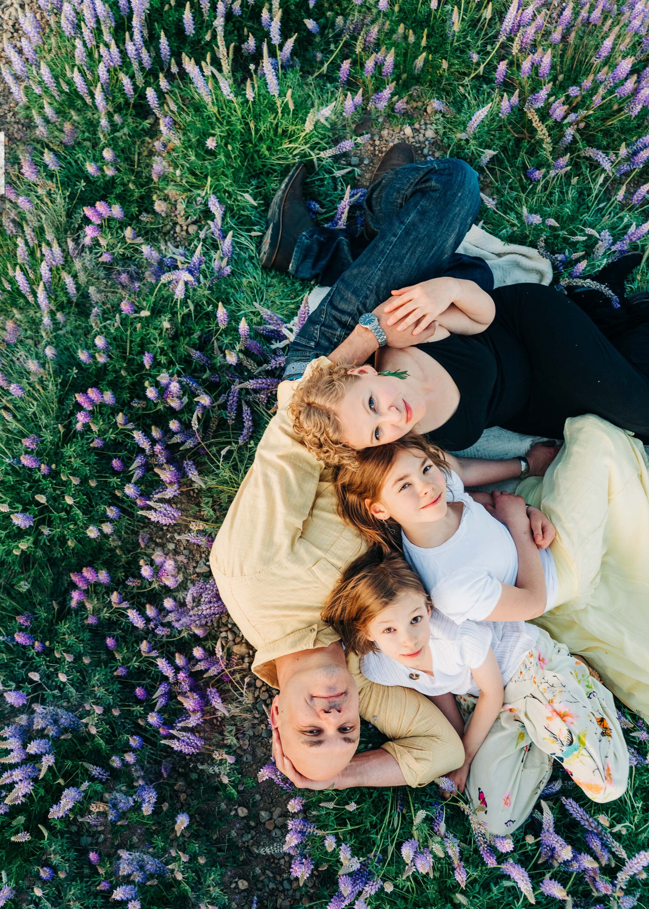 Lupine Wildflowers in Truckee, Tahoe Lifestyle Family Photography by Kelli Price Photography