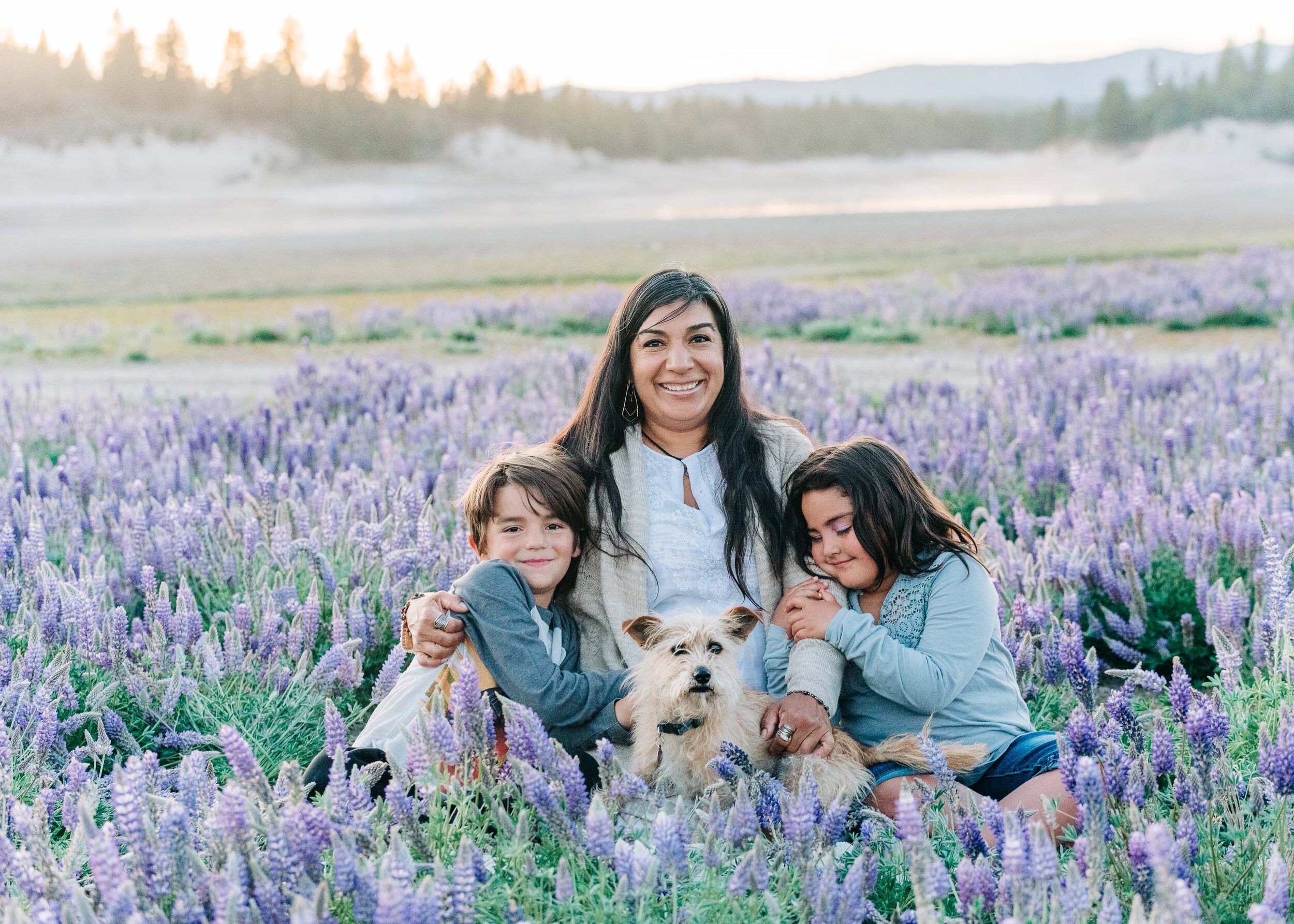 Lupine Wildflowers in Truckee, Lifestyle Reno Photography - Kelli Price Photography