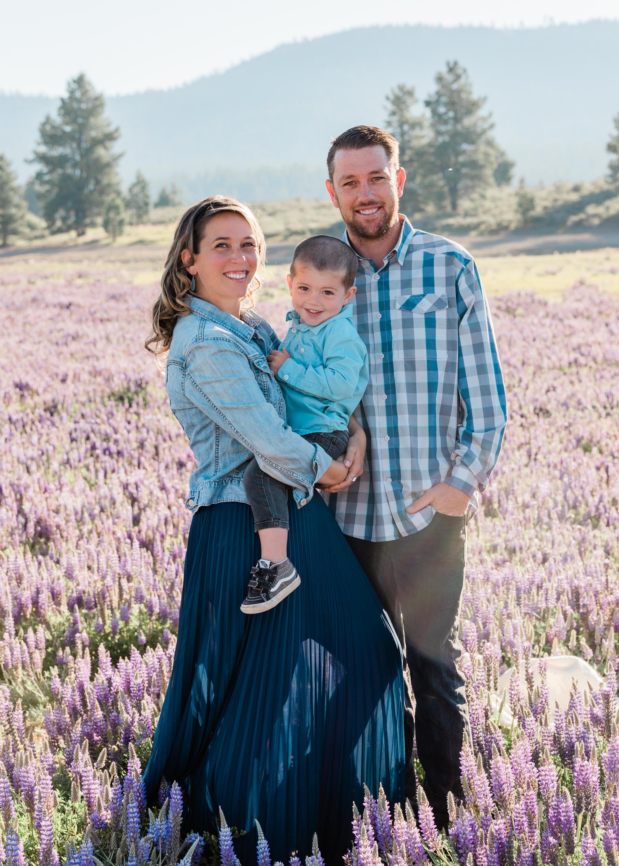 Lupine Wildflowers in Truckee, Family Portraits by Kelli Price Photography