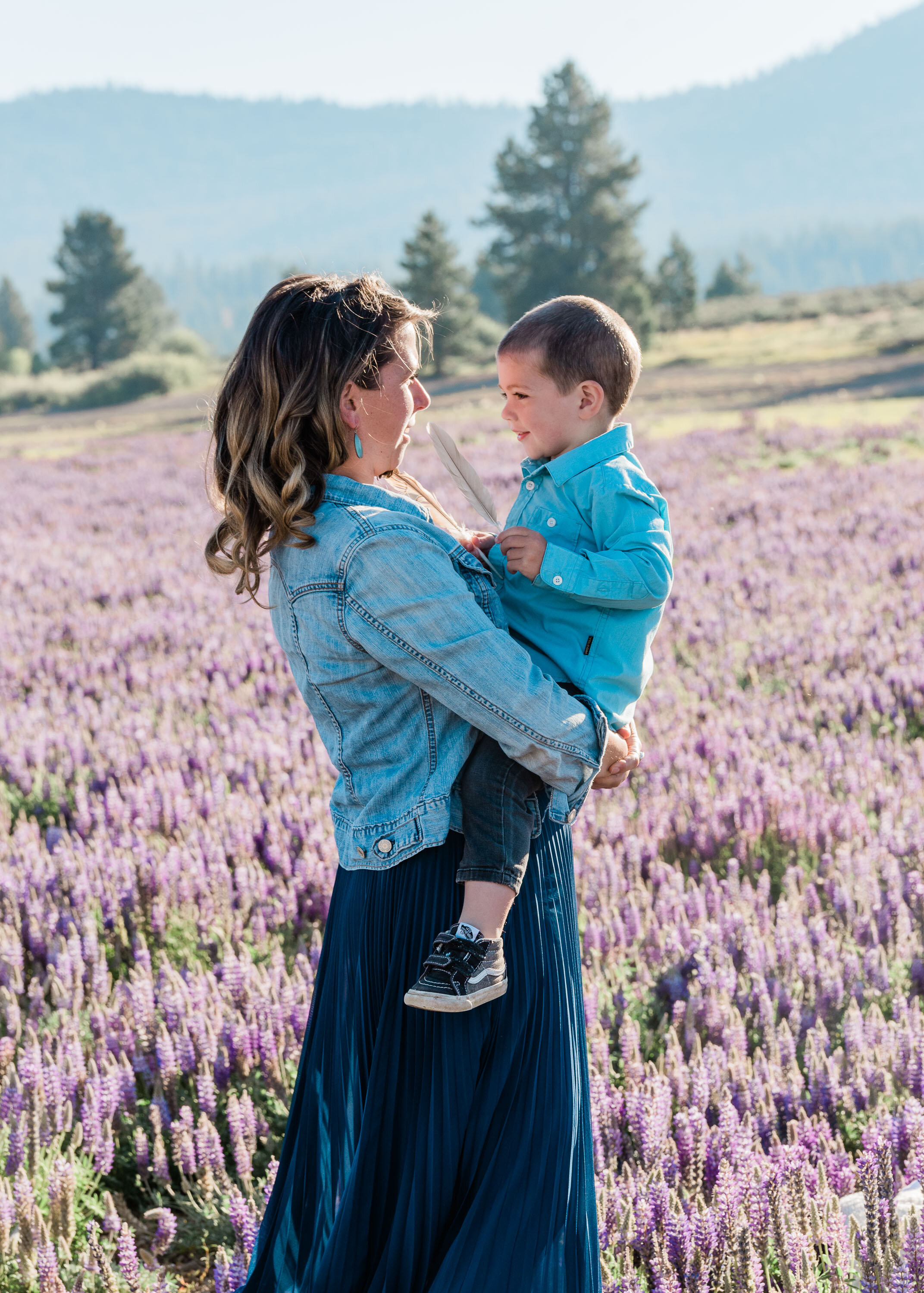 Lupine Wildflowers in Truckee, Family Photo - Kelli Price Photography