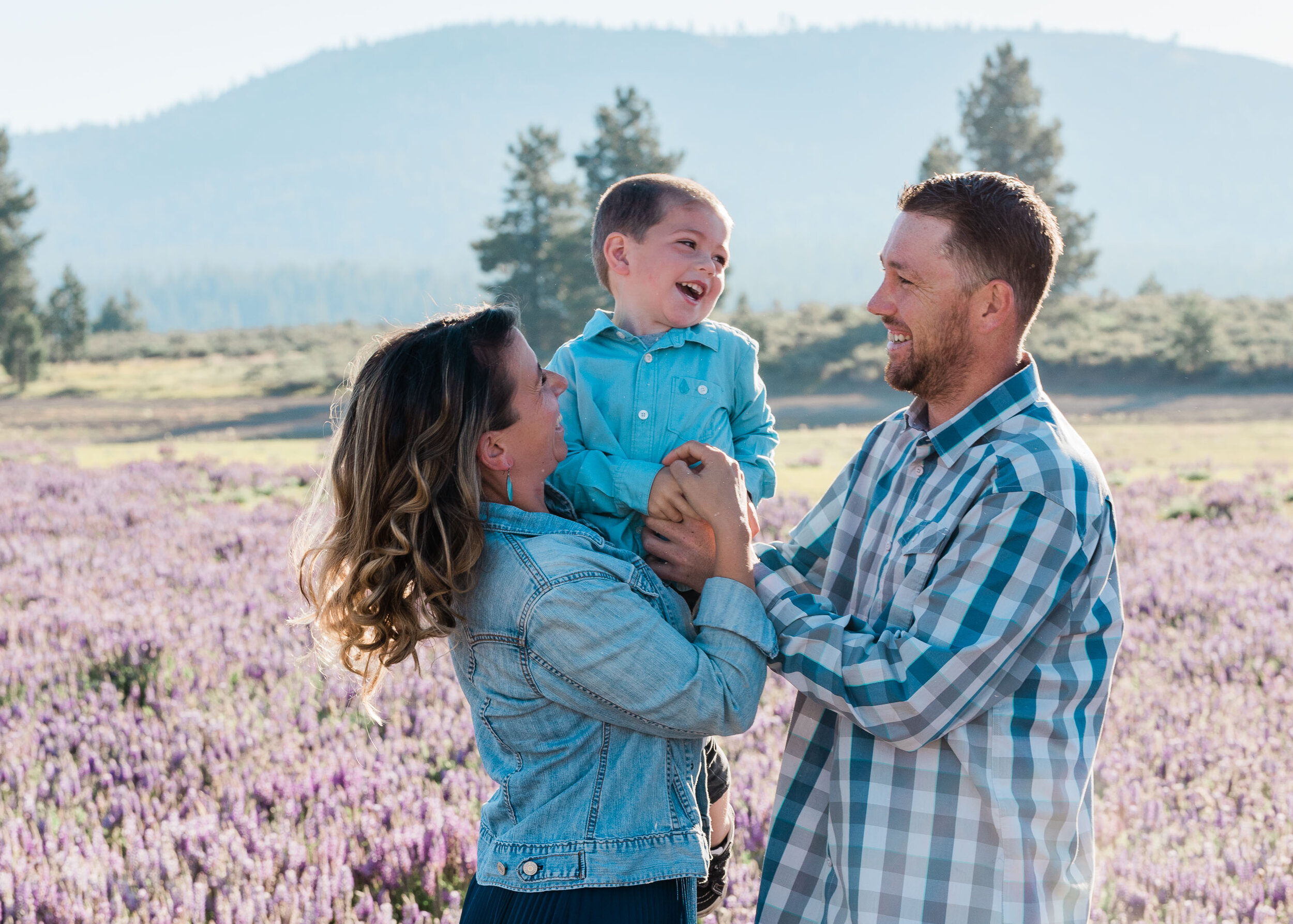 Lupine Wildflowers in Truckee, Family Portraits by Kelli Price Photography