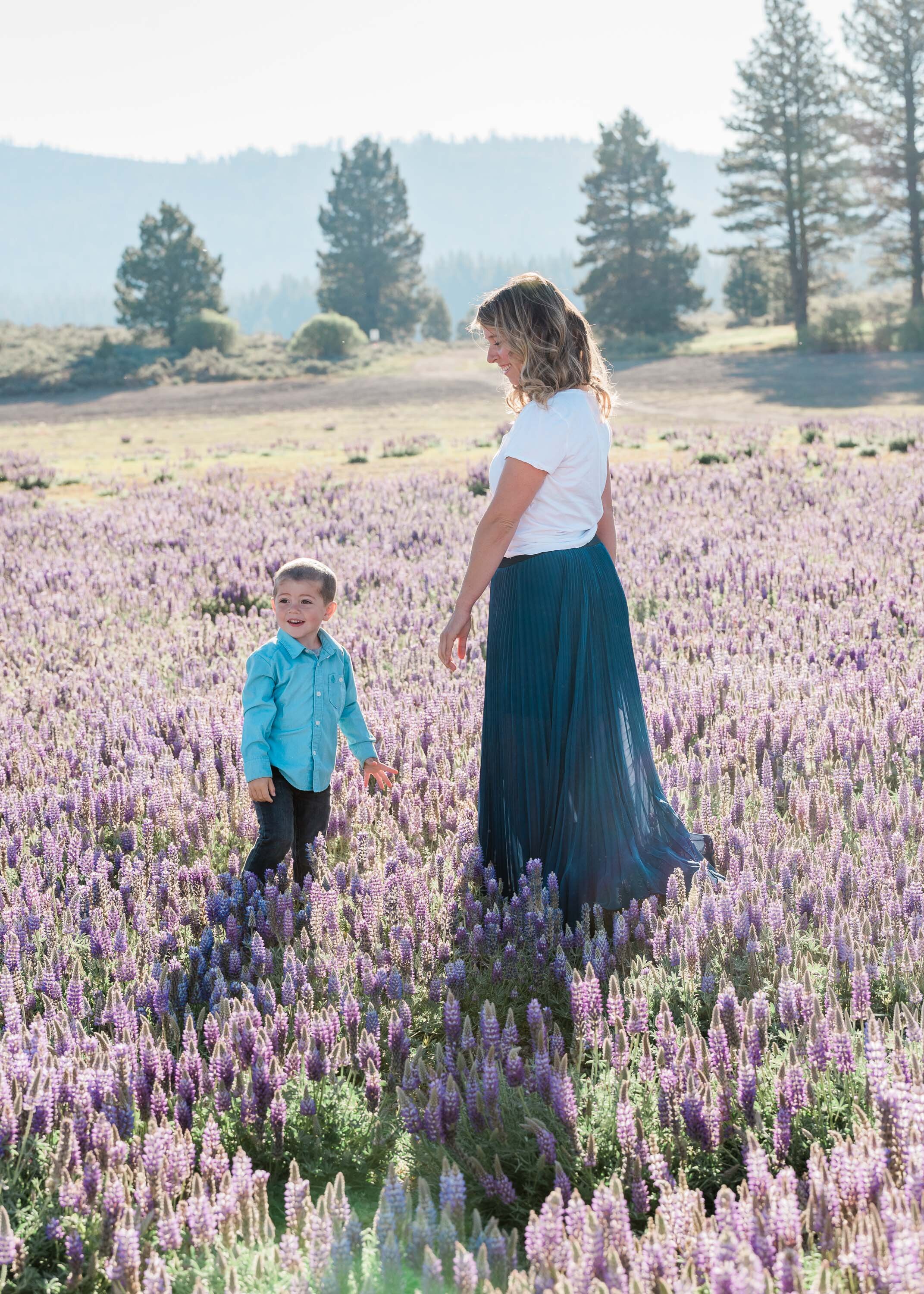 Lupine Wildflowers in Truckee, Family Portrait by Kelli Price Photography
