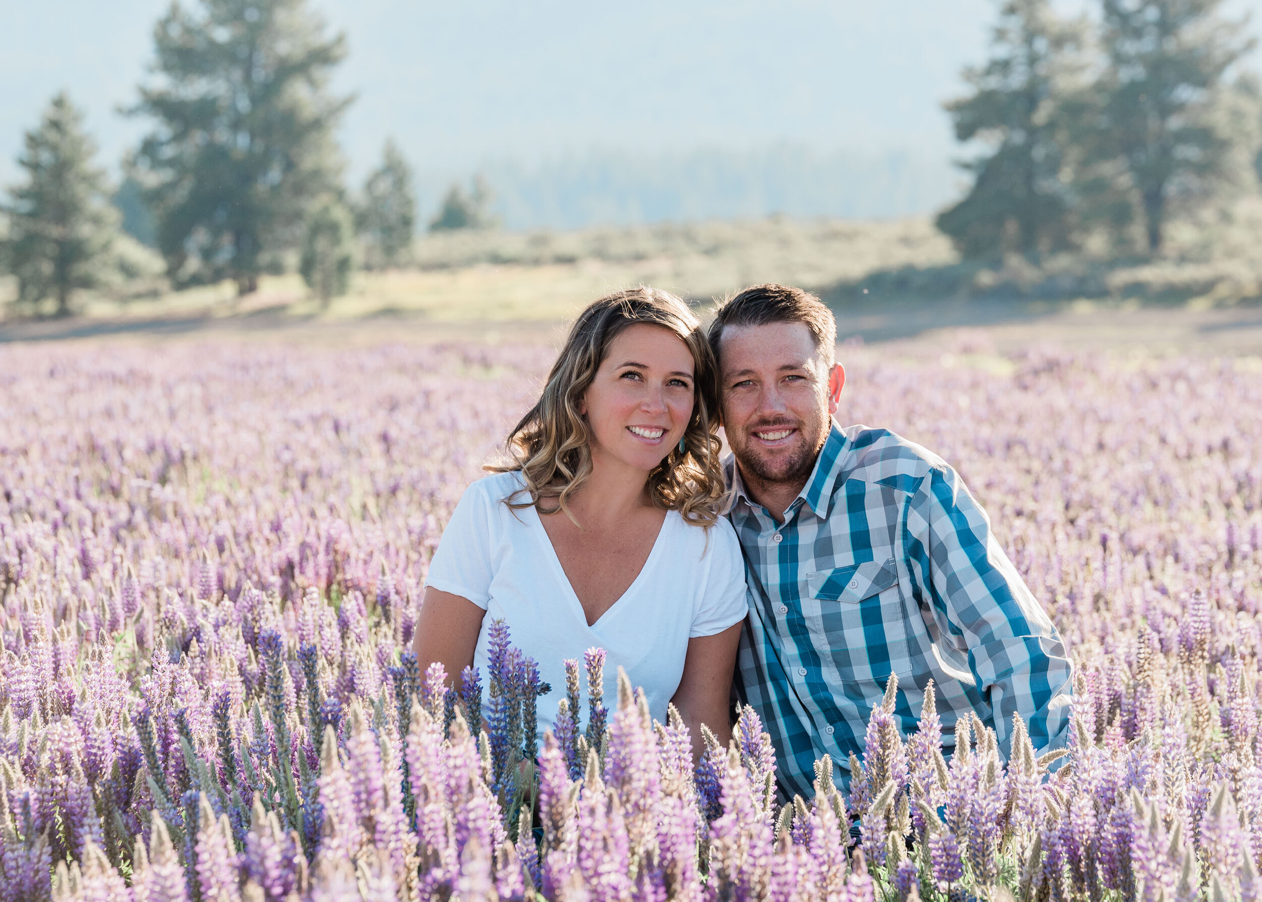 Lupine Wildflowers in Truckee, Engagement Photographers in Truckee - Kelli Price Photography
