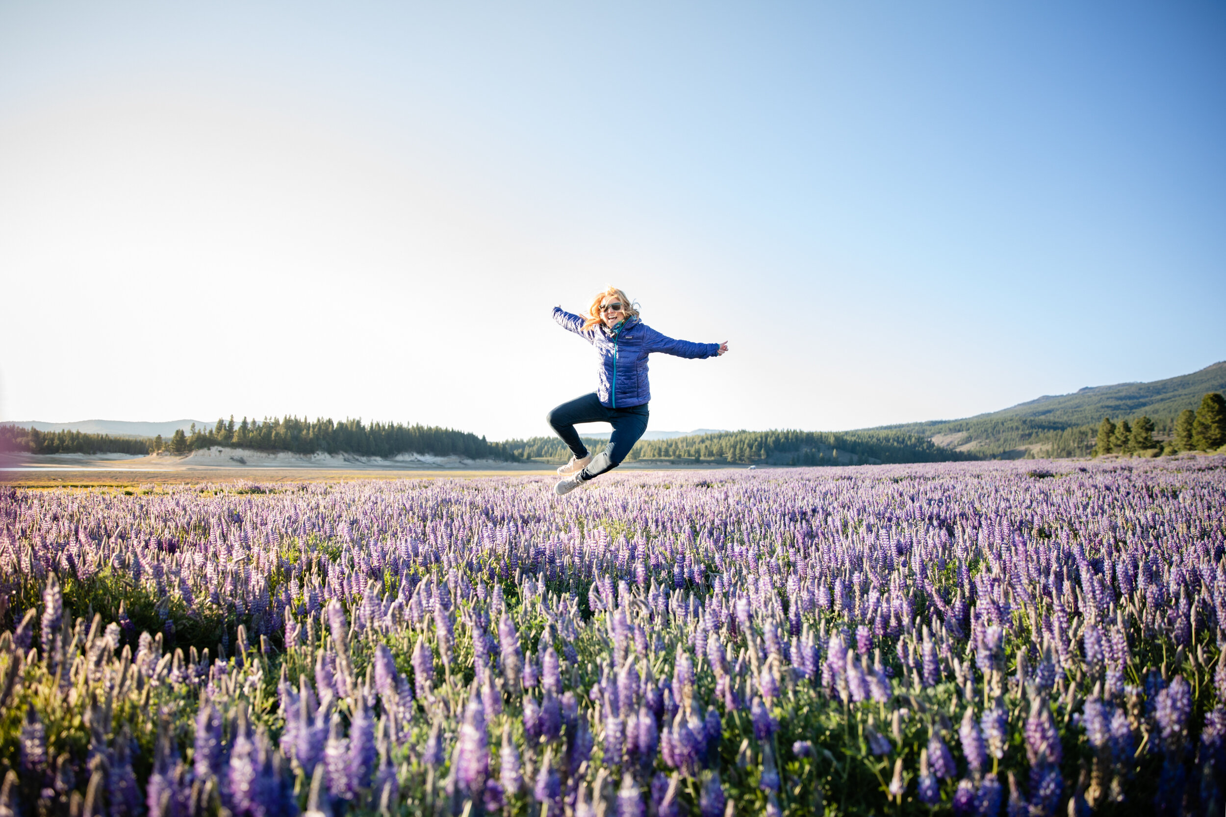 Lupine Wildflowers in Truckee, Lifestyle Family Photography by Kelli Price Photography