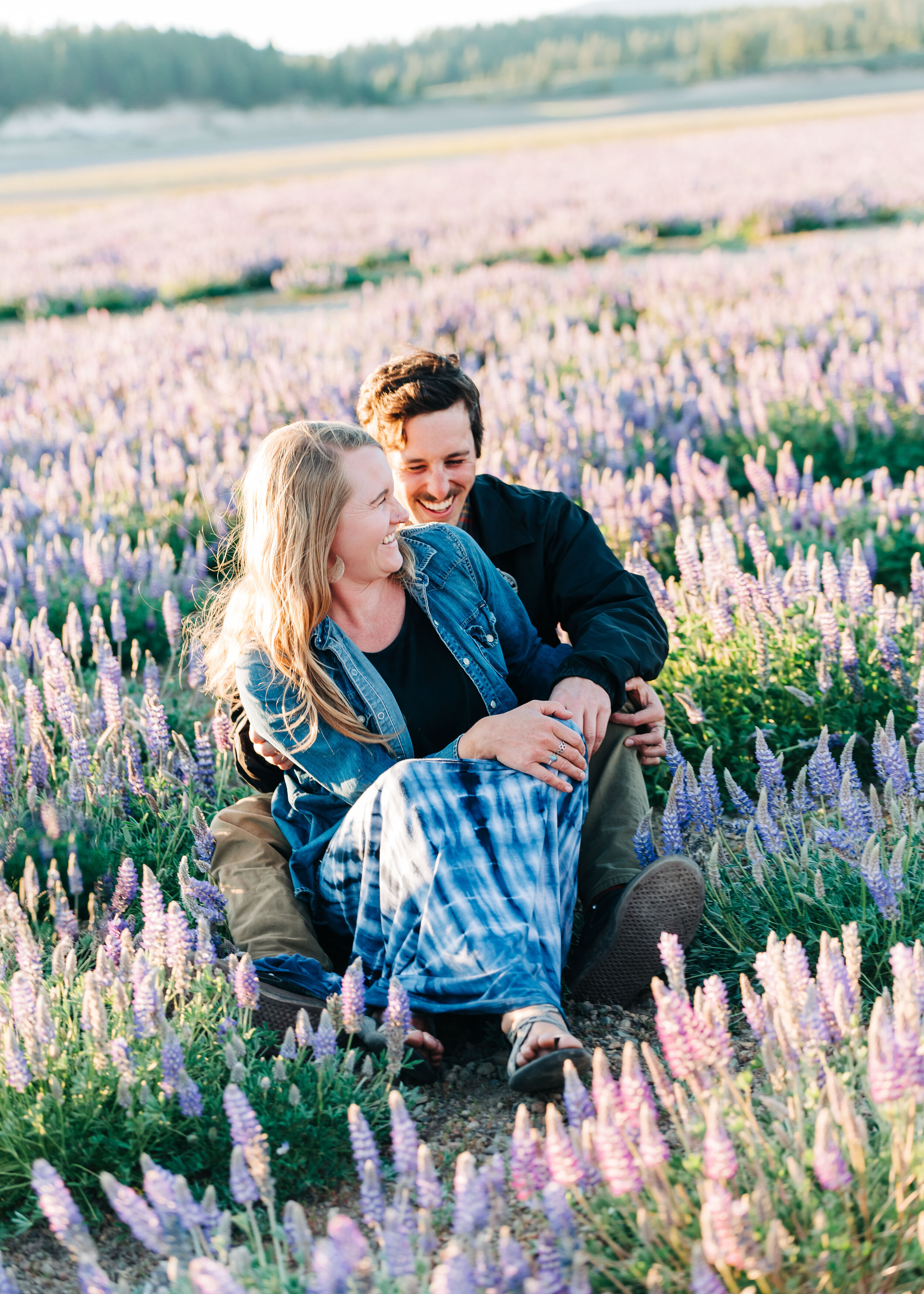 Lupine Wildflowers in Truckee, Engagement Photographers in Reno - Kelli Price Photography