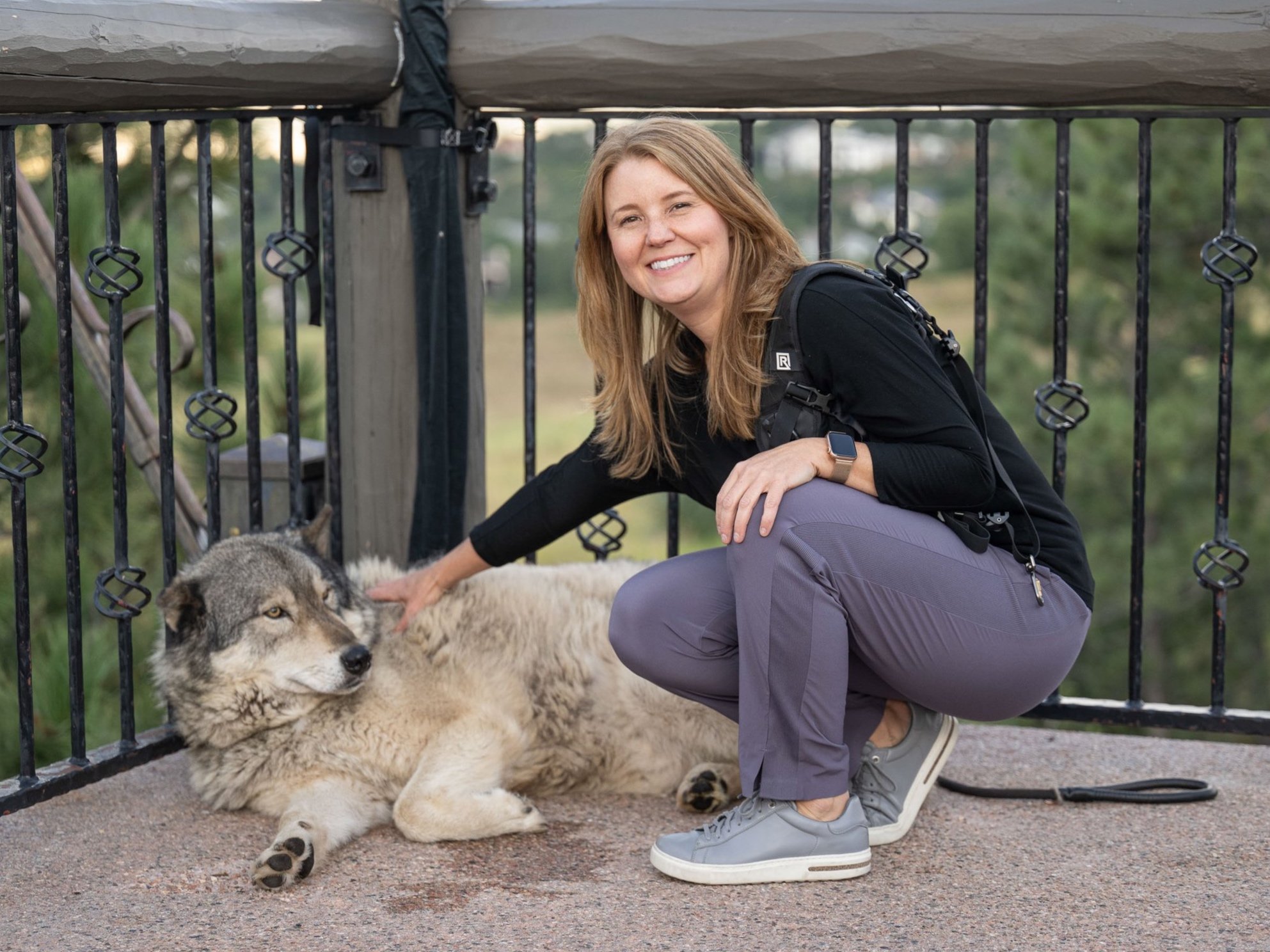 Petting Spirit the wolf at Arrow's President Club in Colorado Springs