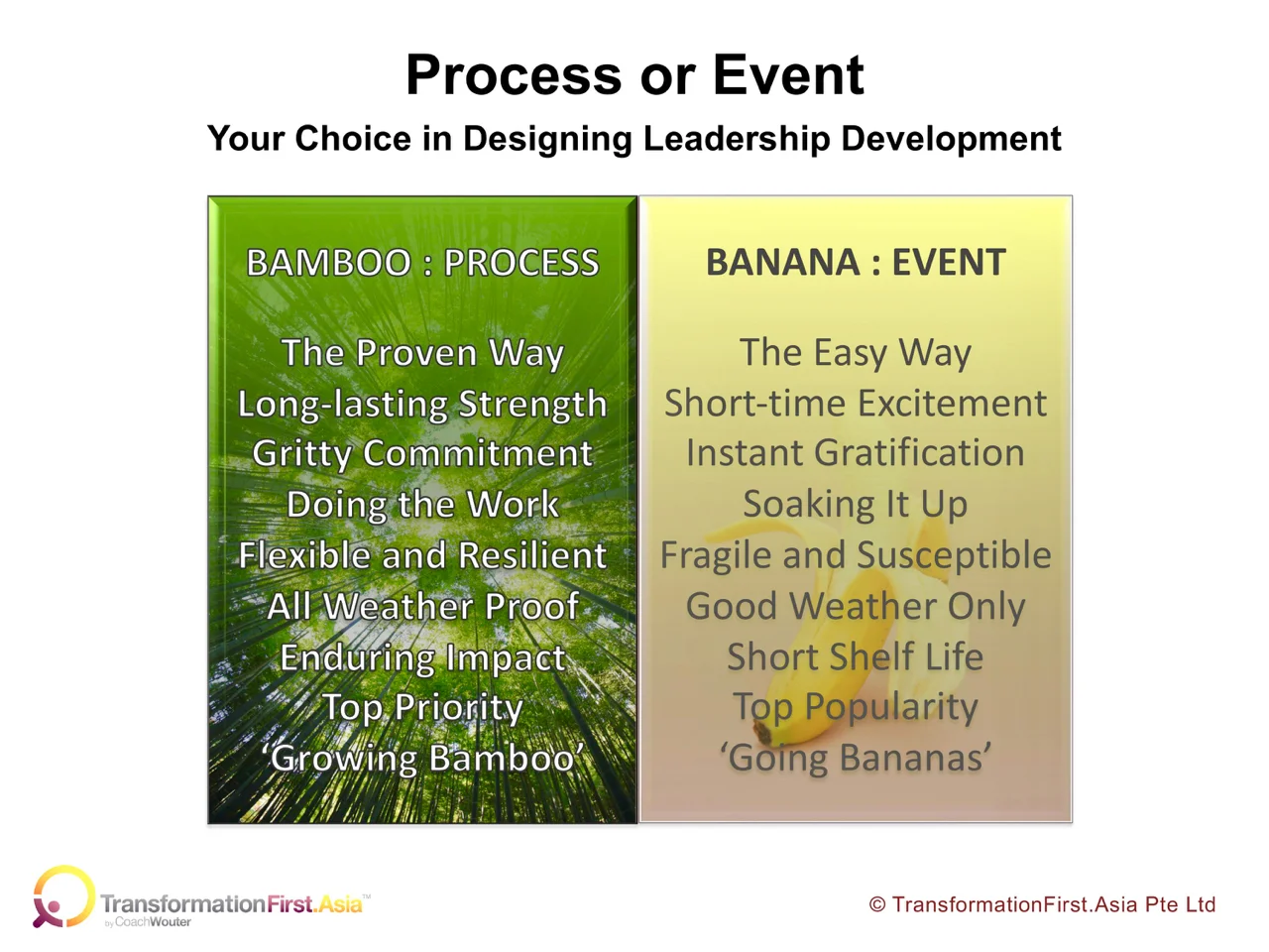 Bamboo or Banana (1).jpg