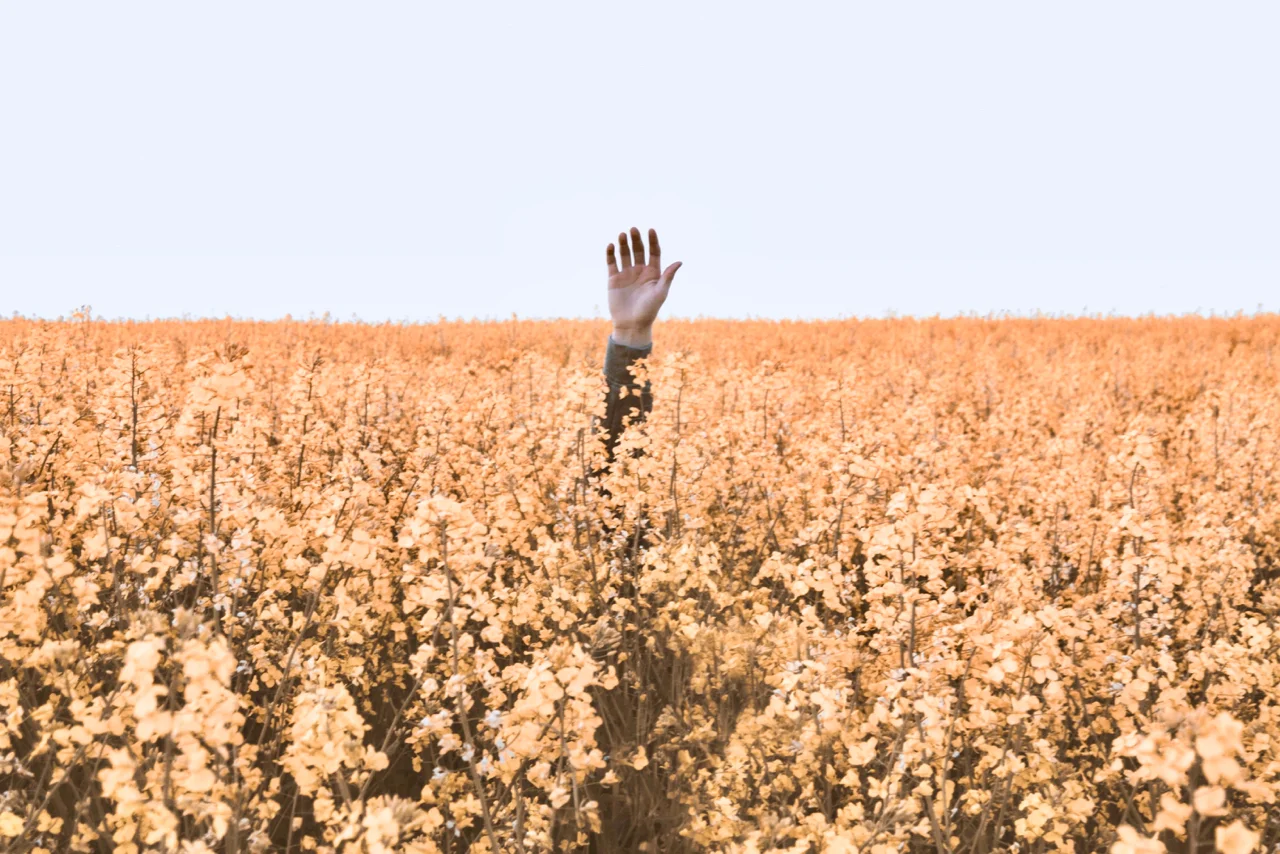 Photo by Daniel Jensen on Unsplash