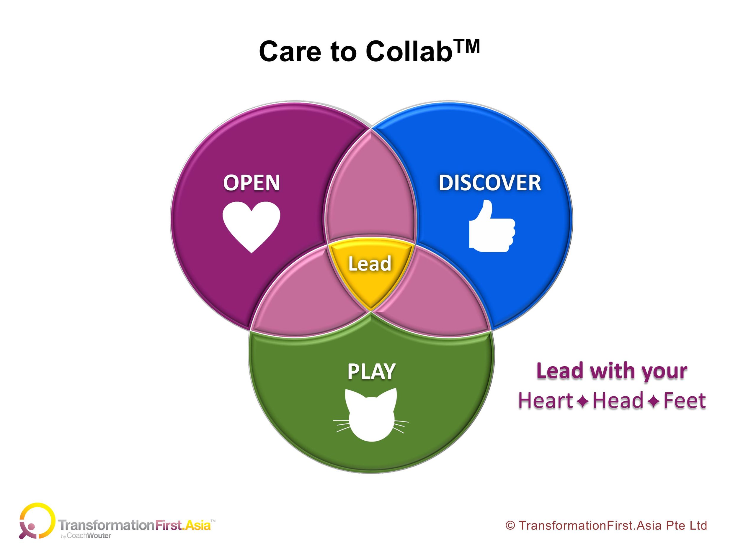 Care to Collab Model 2.jpg